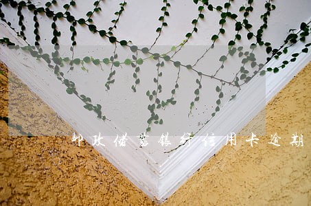 邮政储蓄银行信用卡逾期减免 邮政储蓄银行信用卡逾期减免