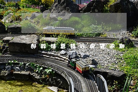 邮政储蓄银行房贷逾期 邮政储蓄银行房贷逾期