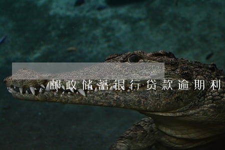 邮政储蓄银行贷款逾期利息 邮政储蓄银行贷款逾期利息
