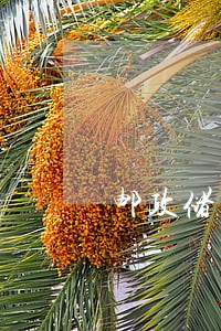邮政储蓄银行逾期多少宽限期 邮政储蓄银行逾期多少宽限期