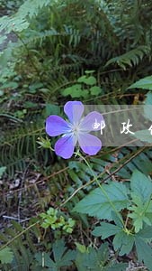 邮政储蓄银行逾期容忍度 邮政储蓄银行逾期容忍度