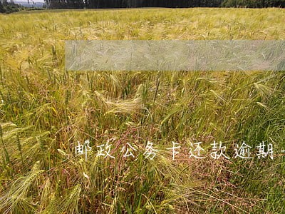 邮政公务卡还款逾期一天怎么办 邮政公务卡还款逾期一天怎么办