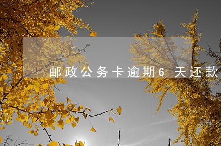 邮政公务卡逾期6天还款 邮政公务卡逾期6天还款