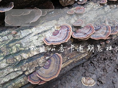 邮政公务卡逾期怎样结算 邮政公务卡逾期怎样结算