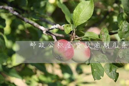 邮政公积金贷款逾期几条 邮政公积金贷款逾期几条