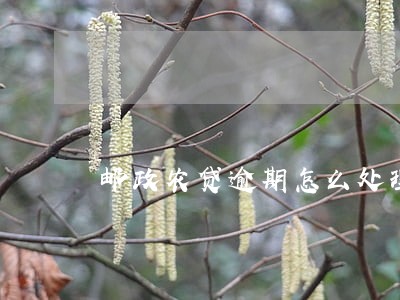邮政农贷逾期怎么处理 邮政农贷逾期怎么处理