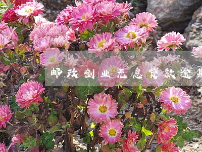 邮政创业无息贷款逾期 邮政创业无息贷款逾期