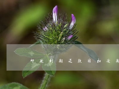 邮政到期还款日和逾期还款日 邮政到期还款日和逾期还款日