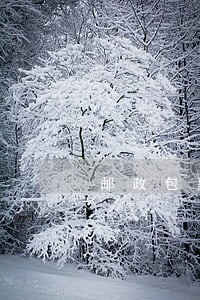 邮政包裹几天逾期 邮政包裹几天逾期