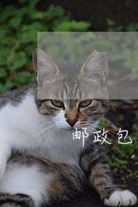 邮政包裹逾期20天 邮政包裹逾期20天