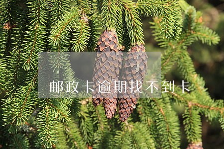 邮政卡逾期找不到卡 邮政卡逾期找不到卡