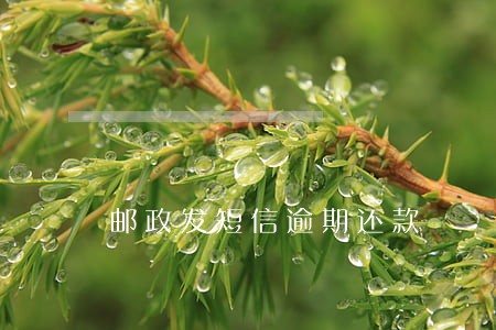 邮政发短信逾期还款 邮政发短信逾期还款