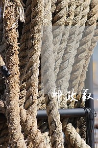 邮政取款单逾期 邮政取款单逾期