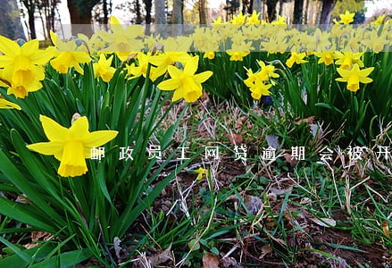 邮政员工网贷逾期会被开除吗 邮政员工网贷逾期会被开除吗