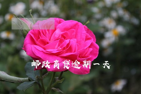 邮政商贷逾期一天