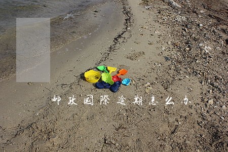 邮政国际逾期怎么办 邮政国际逾期怎么办