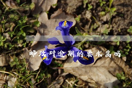 邮政对逾期的要求高吗 邮政对逾期的要求高吗