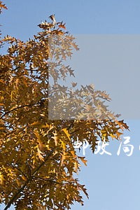 邮政局快递逾期怎么算 邮政局快递逾期怎么算