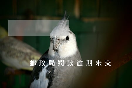 邮政局罚款逾期未交 邮政局罚款逾期未交
