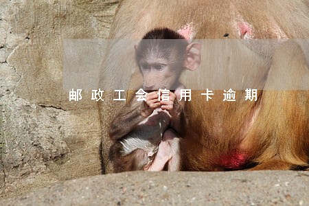 邮政工会信用卡逾期