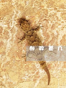 邮政差几十块钱没还够算逾期吗 邮政差几十块钱没还够算逾期吗