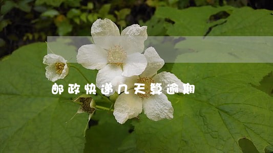 邮政快递几天算逾期 邮政快递几天算逾期