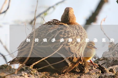 邮政快递逾期催款函真的假的 邮政快递逾期催款函真的假的
