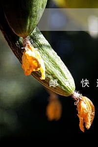 邮政快递逾期怎么处理 邮政快递逾期怎么处理