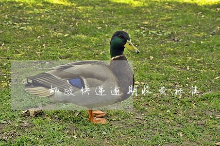 邮政快递逾期收费标准 邮政快递逾期收费标准