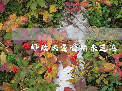 邮政快递逾期未送达 邮政快递逾期未送达