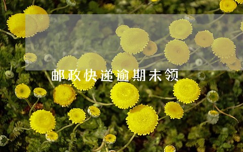 邮政快递逾期未领 邮政快递逾期未领
