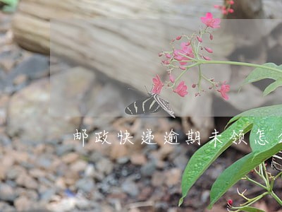 邮政快递逾期未领怎么办 邮政快递逾期未领怎么办