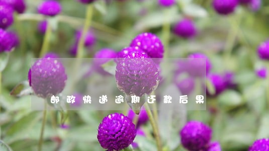 邮政快递逾期还款后果 邮政快递逾期还款后果