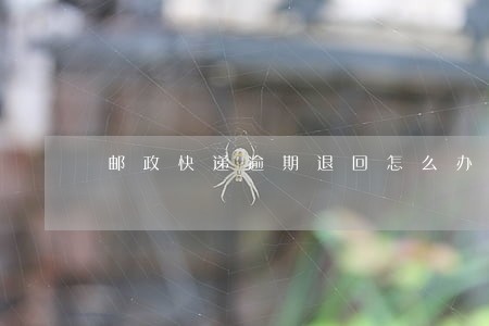 邮政快递逾期退回怎么办上海