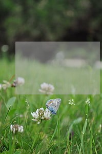 邮政房贷扣款逾期一天 邮政房贷扣款逾期一天