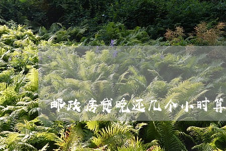 邮政房贷晚还几个小时算逾期吗 邮政房贷晚还几个小时算逾期吗