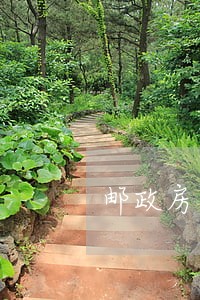 邮政房贷最多逾期多久 邮政房贷最多逾期多久