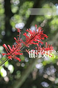 邮政房贷有逾期记录怎么能消掉 邮政房贷有逾期记录怎么能消掉