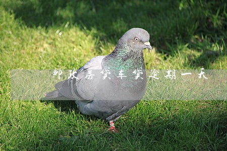 邮政房贷车贷逾期一天 邮政房贷车贷逾期一天