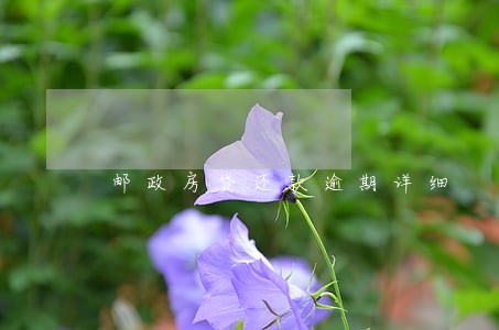 邮政房贷还款逾期详细 邮政房贷还款逾期详细