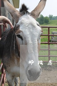 邮政房贷逾期1天上征信吗 邮政房贷逾期1天上征信吗