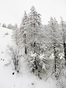 邮政房贷逾期3天 邮政房贷逾期3天