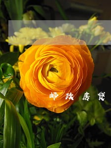 邮政房贷逾期一周 邮政房贷逾期一周