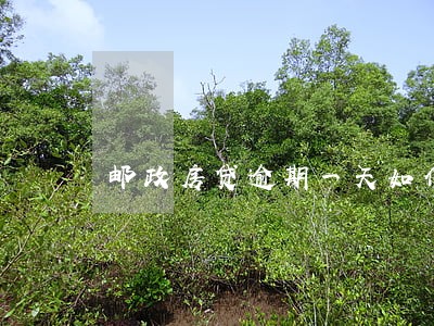 邮政房贷逾期一天如何还款 邮政房贷逾期一天如何还款