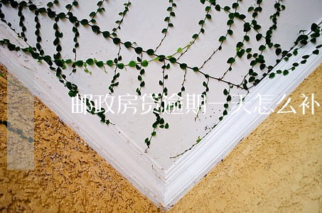 邮政房贷逾期一天怎么补救 邮政房贷逾期一天怎么补救
