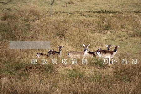 邮政房贷逾期一天还有没有影响 邮政房贷逾期一天还有没有影响
