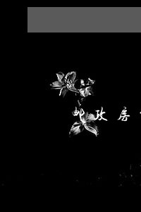 邮政房贷逾期三个月了上海 邮政房贷逾期三个月了上海