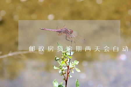 邮政房贷逾期两天会自动扣吗 邮政房贷逾期两天会自动扣吗