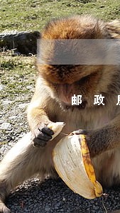 邮政房贷逾期会有什么后果