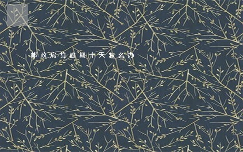 邮政房贷逾期十天怎么办